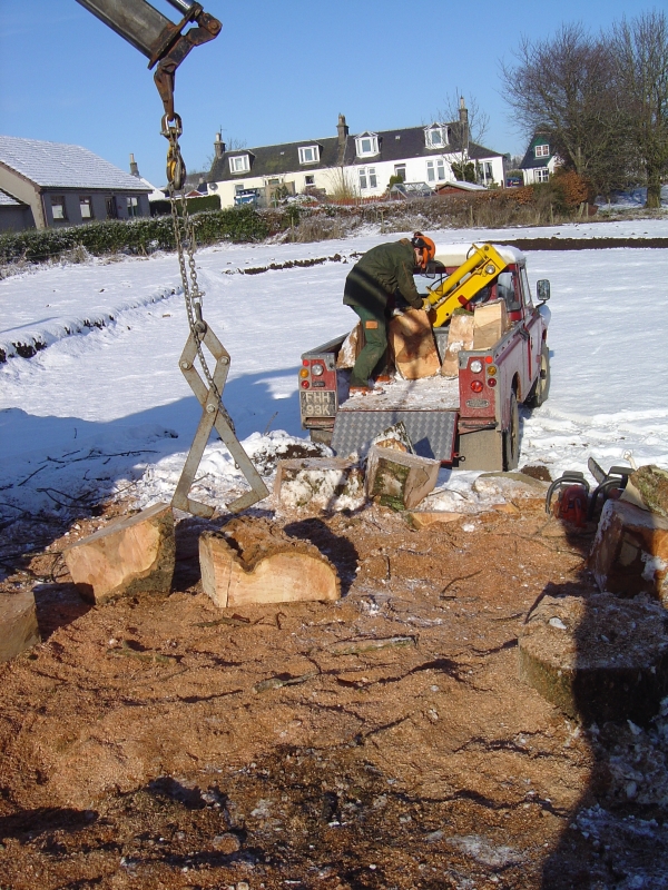 20th February 2010 032